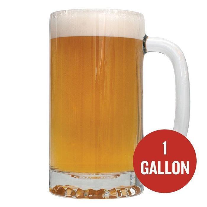 1 Gallon Small Batch Beer Recipe Kits Northern Brewer Beer