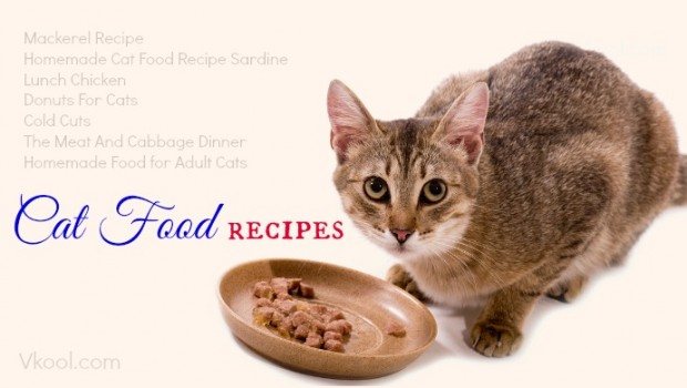 10 Best Homemade Cat Food Recipes