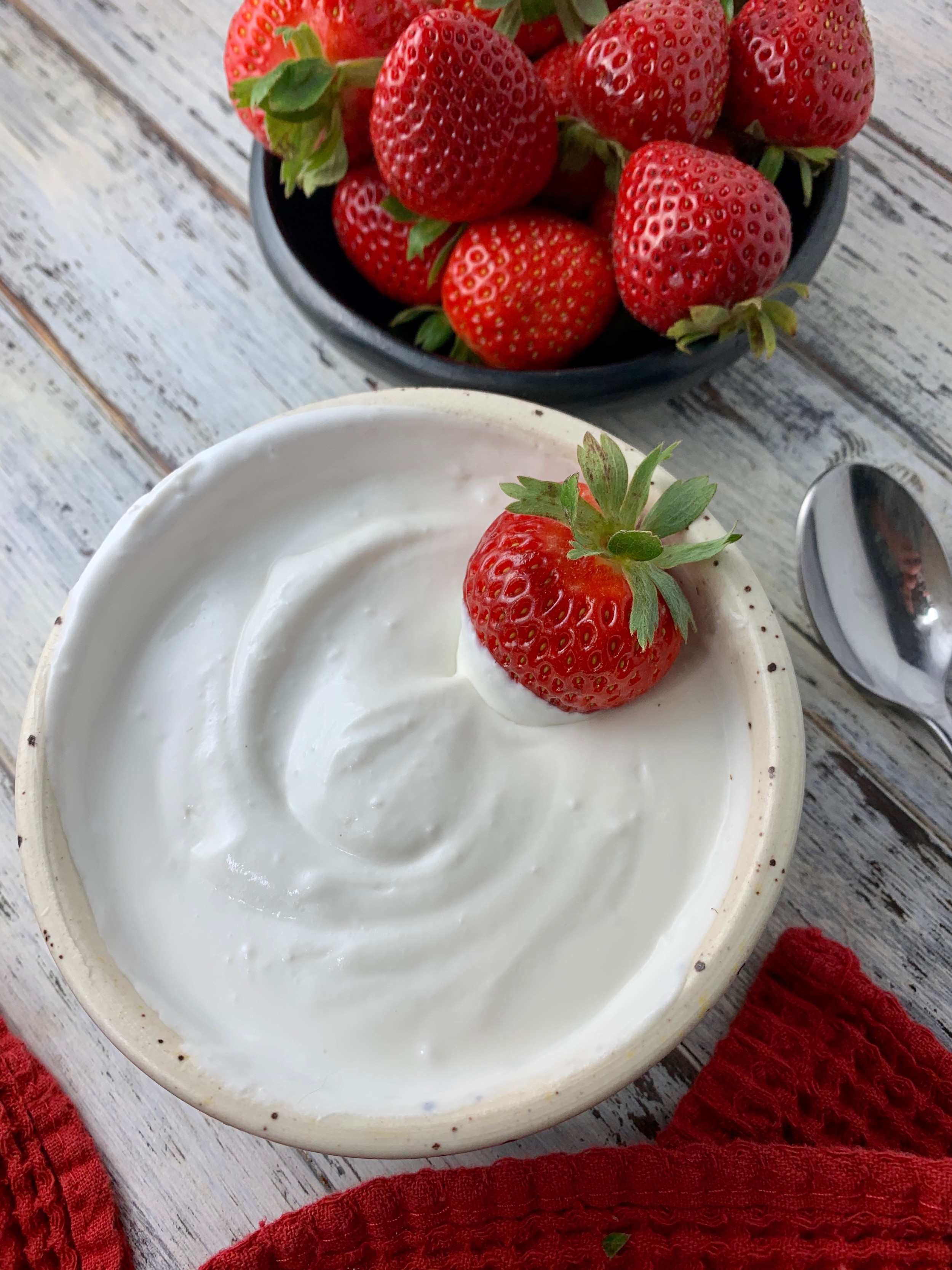 10 Delicious Greek Yogurt Recipes For A Healthy Lifestyle