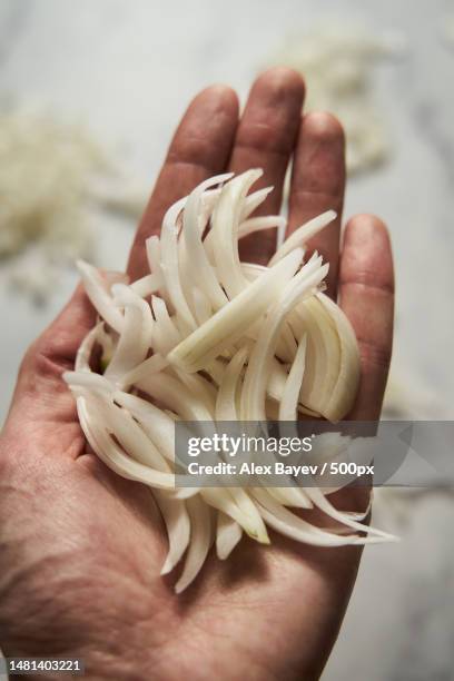 12 Julienne Onions Stock Photos High Res Pictures And Images Getty Images