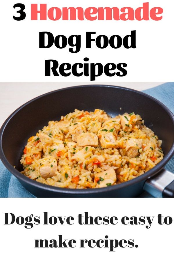 13 Homemade Dog Food Recipes For Small Dogs Top Dog Tips