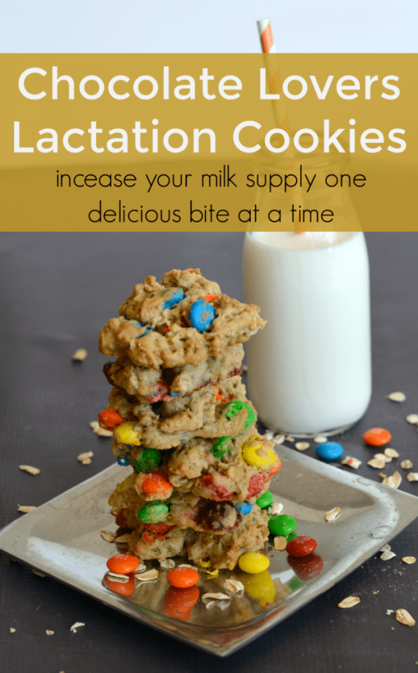 15 Yummy Lactation Cookie Recipes For Breastfeeding Moms Part 2