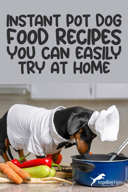 19 Instant Pot Dog Food Recipes You Can Make Easily Wowpooch