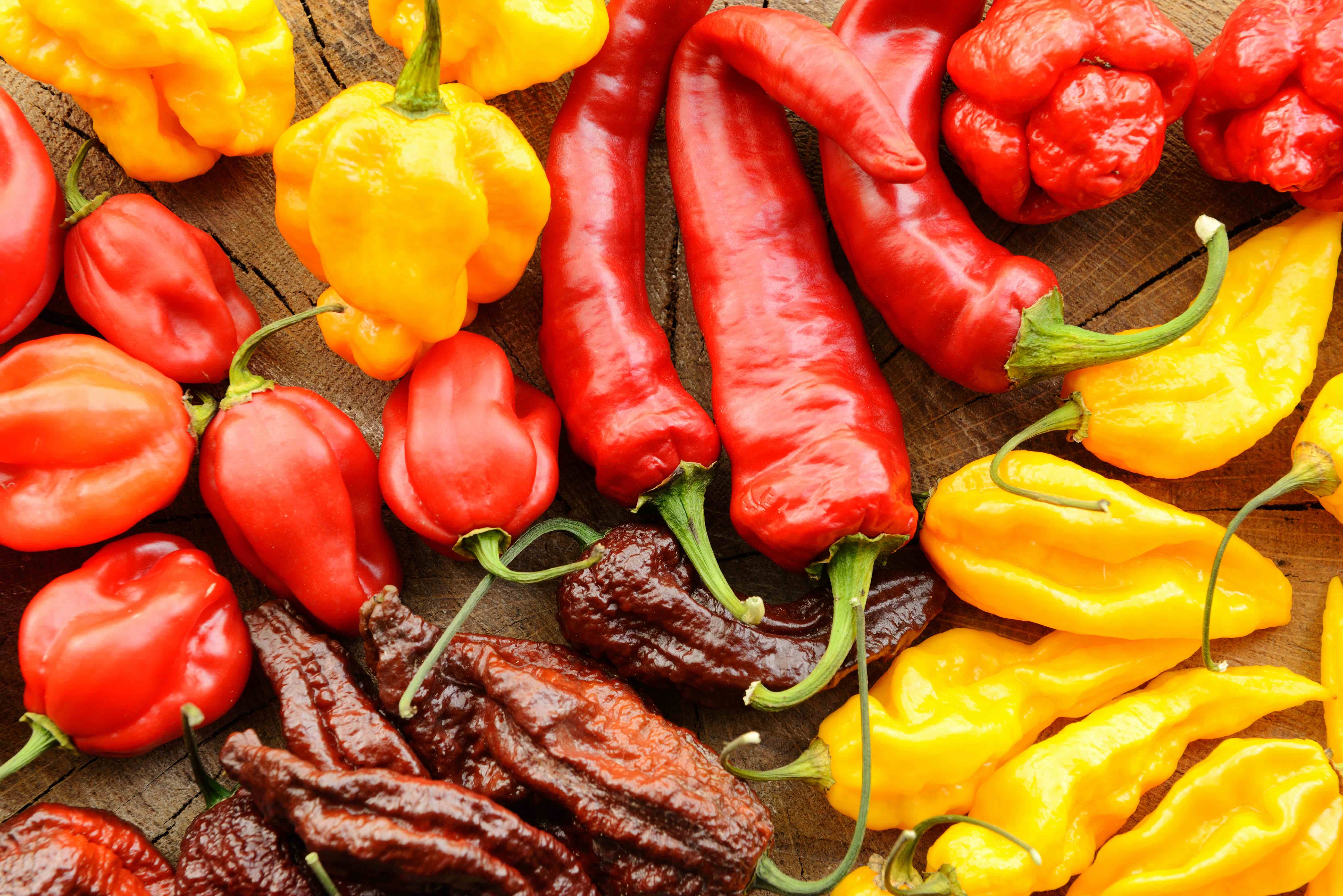 20 Hottest Peppers In The World To Make You Sweat Facts Net