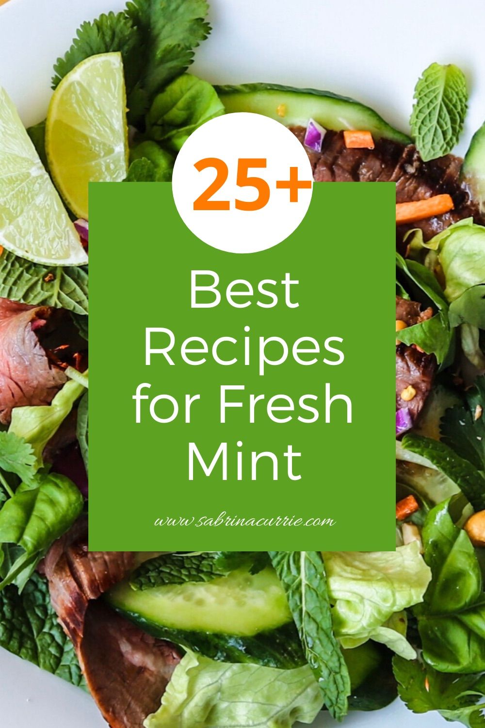 25 Best Fresh Mint Recipes And How To Preserve Mint Mint Leaves