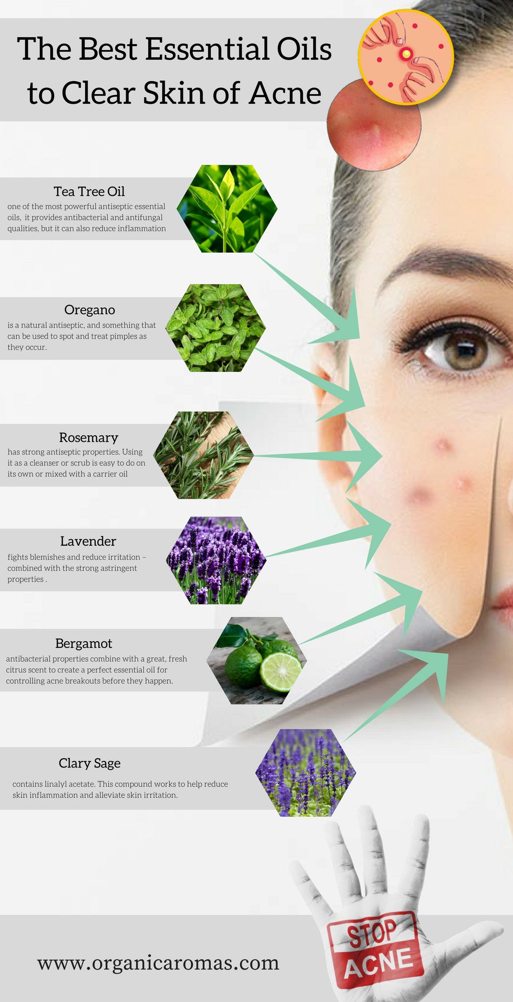 3 Essential Oils To Clear Sinuses Organic Aromas How To Clear Sinuses Oils For Sinus