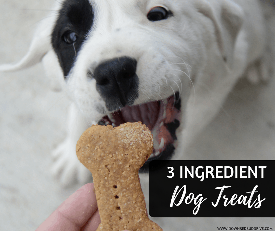 3 Ingredient Dog Treats