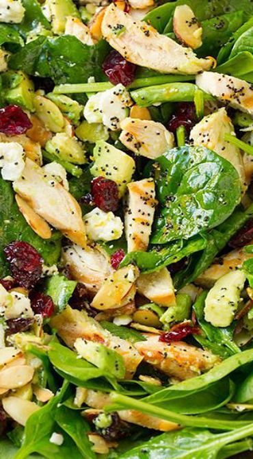 45 Healthy Lunch Salad Recipes To Keep You Strong And Vibrant