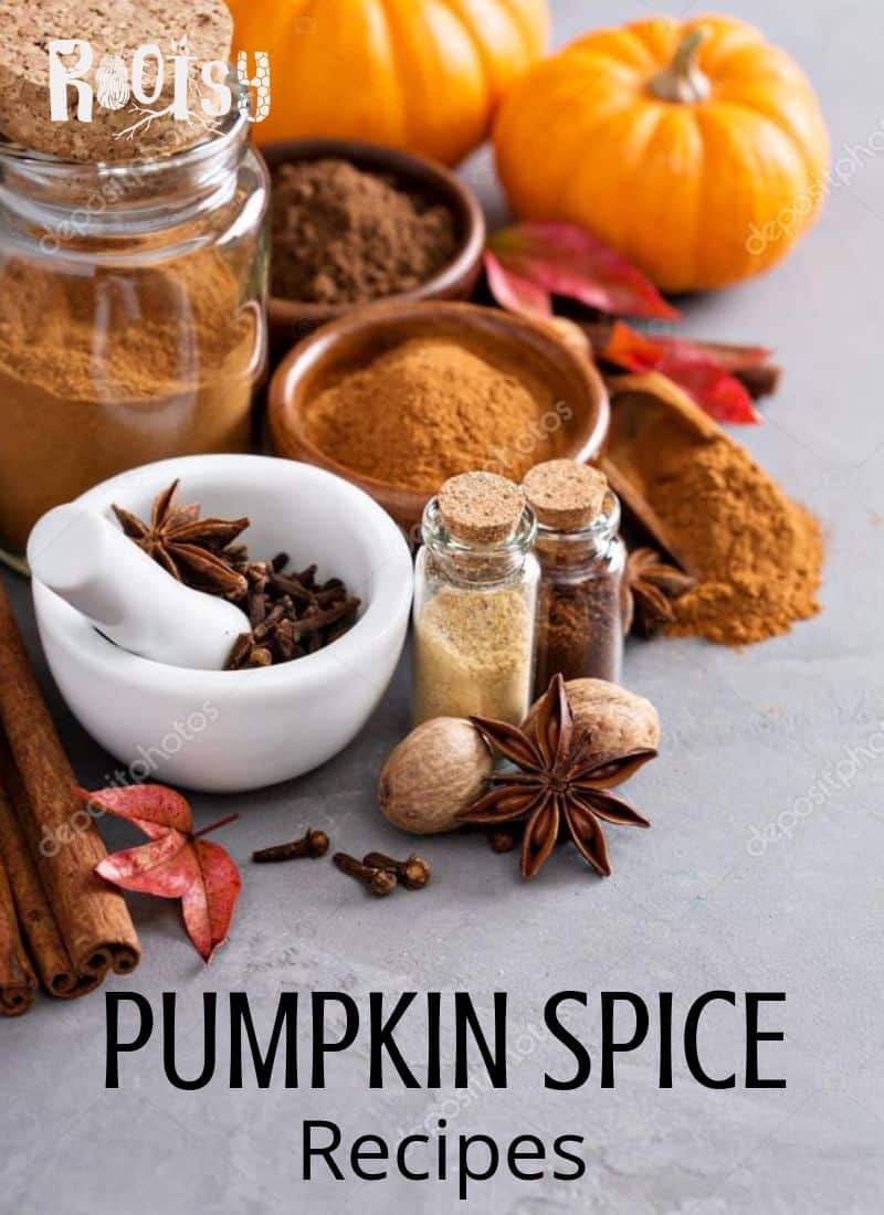 45 Pumpkin Spice Recipes So Good You Ll Crave More