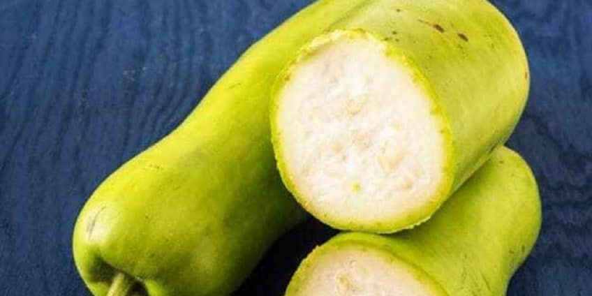 5 Amazing Bottle Gourd Recipes You Must Try At Home