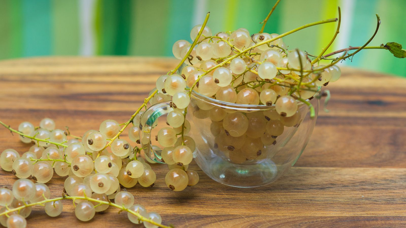 5 Delicious White Currant Recipes To Try Today Offtgrid Com