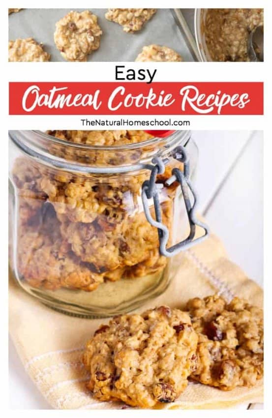 5 Easy Oatmeal Cookie Recipes The Cooking Foodie