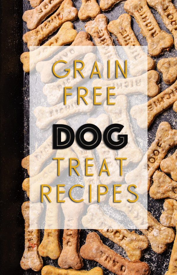 5 Grain Free Dog Treat Recipes Easy To Make