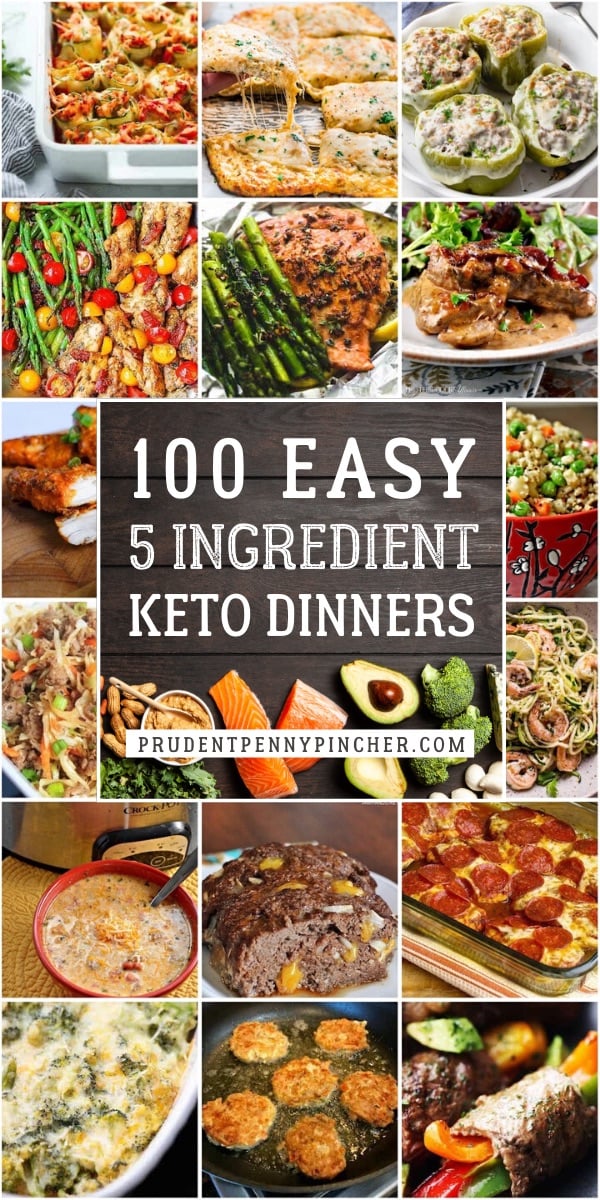 50 Best 5 Ingredient Healthy Dinner Recipes Prudent Penny Pincher