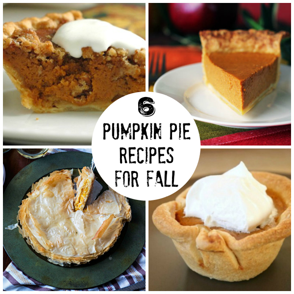 6 Pumpkin Pie Recipes Worth Baking This Fall Craftsy