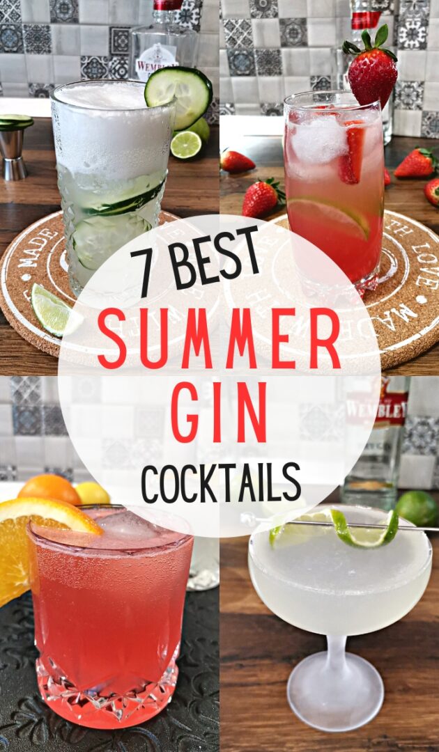 7 Best Summer Gin Cocktails Easy And Tasty Foodiosity