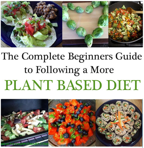 A Plant Based Diet Beginner S Guide To Eating Healthy Well