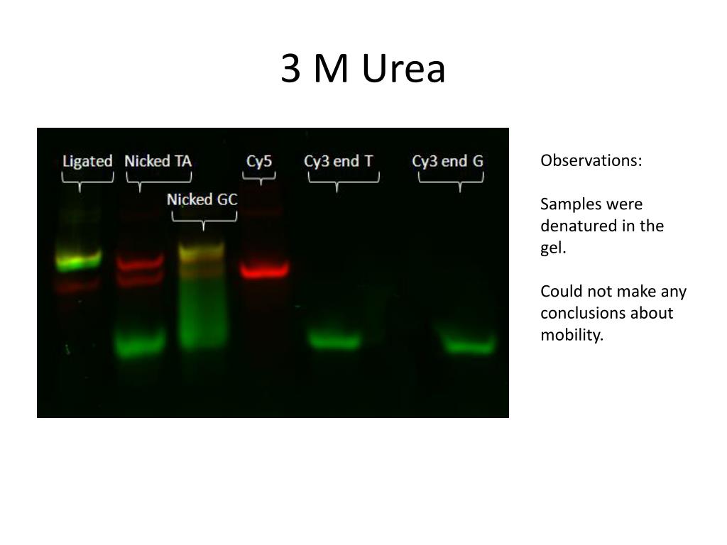 Agarose Urea Gel Recipe: Quick and Easy Preparation