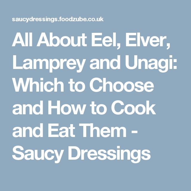 All About Eel Elver Lamprey And Unagi Which To Choose And How To