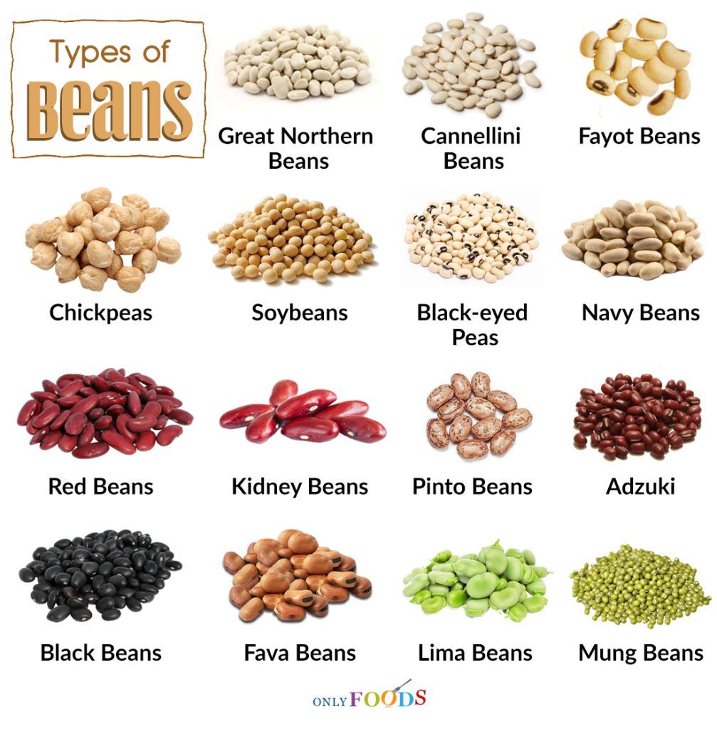 All Types Of Beans Can Be Safely Offered To Babies Who Are Just Starting Solids And We Ll Teach