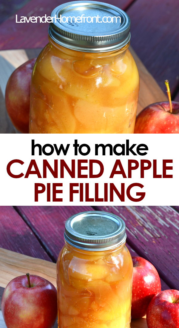 Easy Apple Pie Filling Recipe with Canned Filling