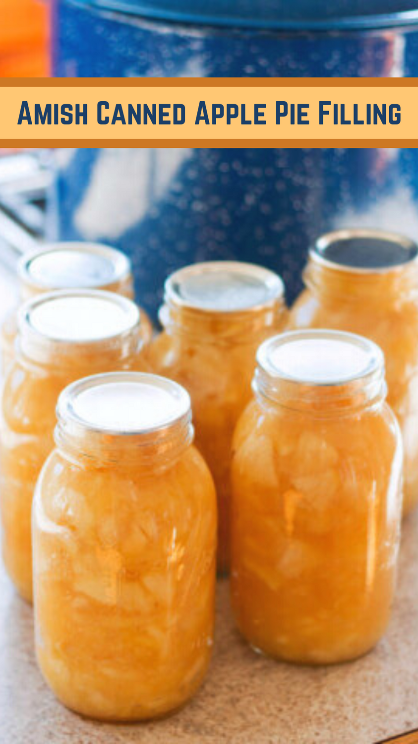 Apple Pie Filling Recipe Canning Directions Included Dinner Then