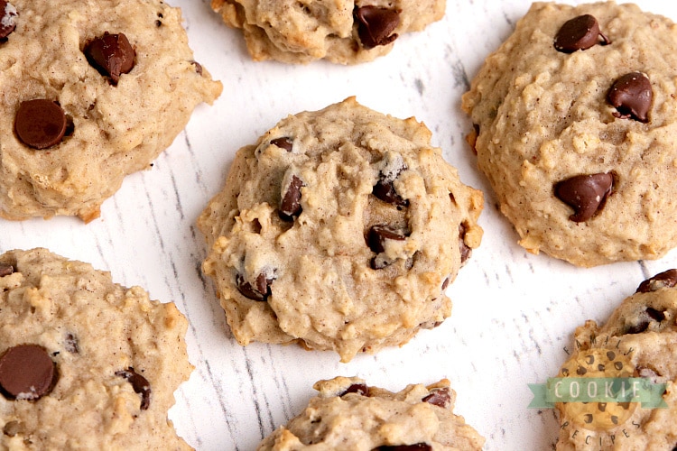 Applesauce Oatmeal Chocolate Chip Cookies Family Cookie Recipes