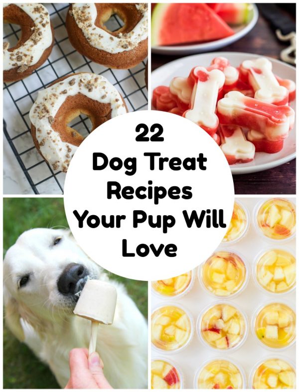 Are Homemade Dog Treat Okay For Puppies