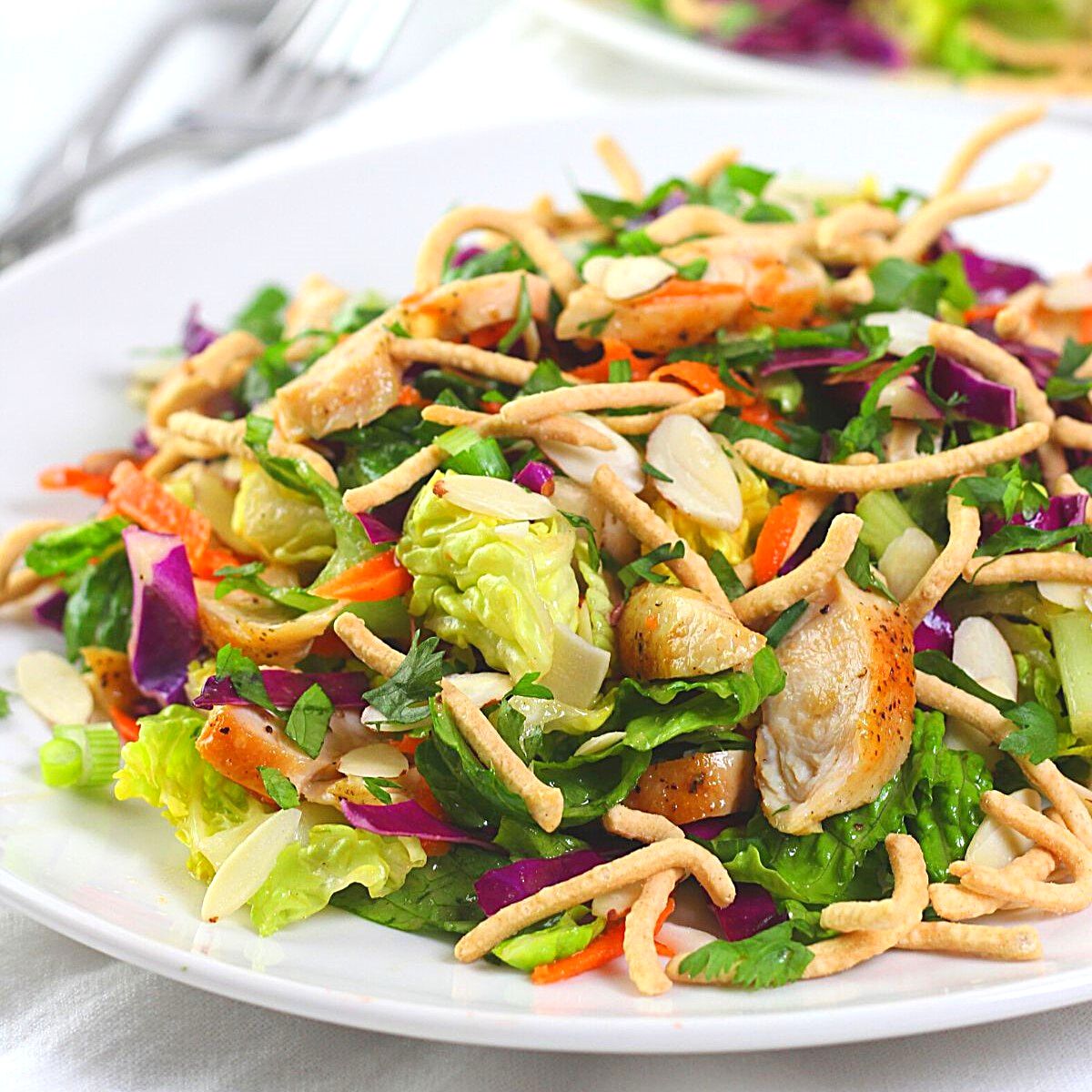 Asian Chicken Salad With Sesame Ginger Dressing Now Cook This