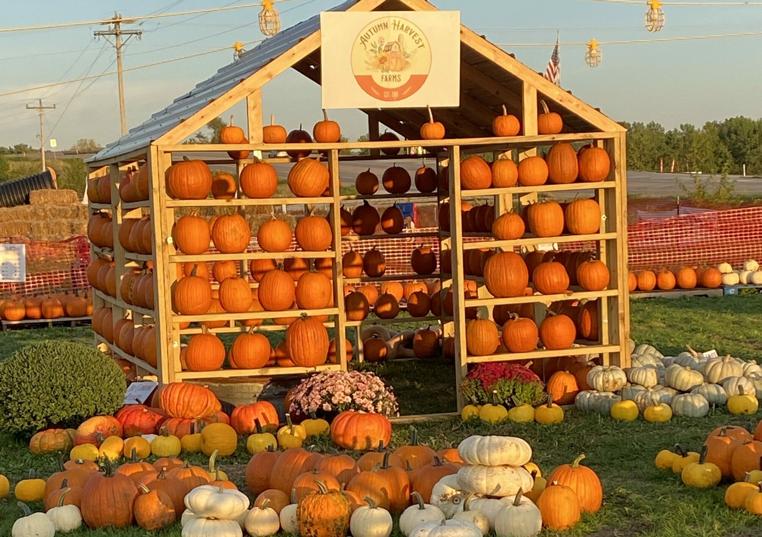 Autumn Harvest Farms Pumpkin Patch And Play Area Open Each Weekend