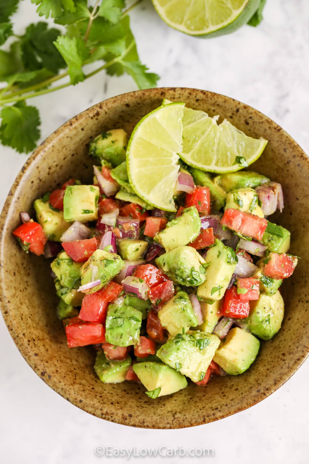 Avocado Salsa