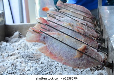 Grilled Awesome Tilapia Fish Recipes for BBQ Lovers