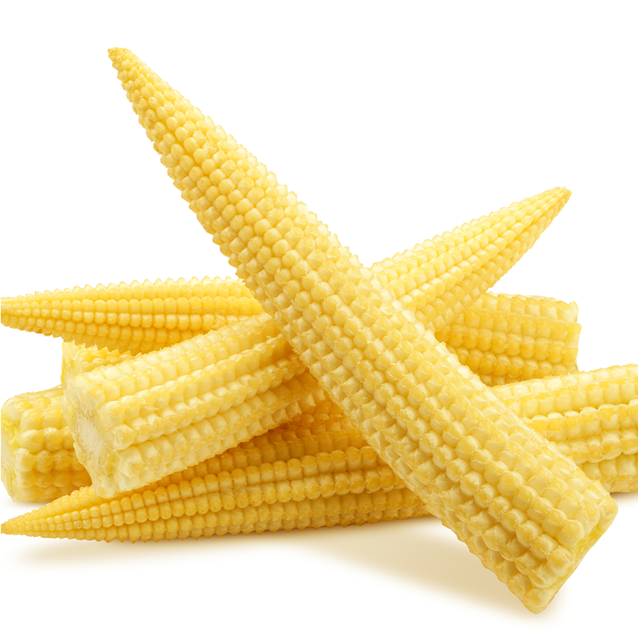 Baby Corn Sabel Group