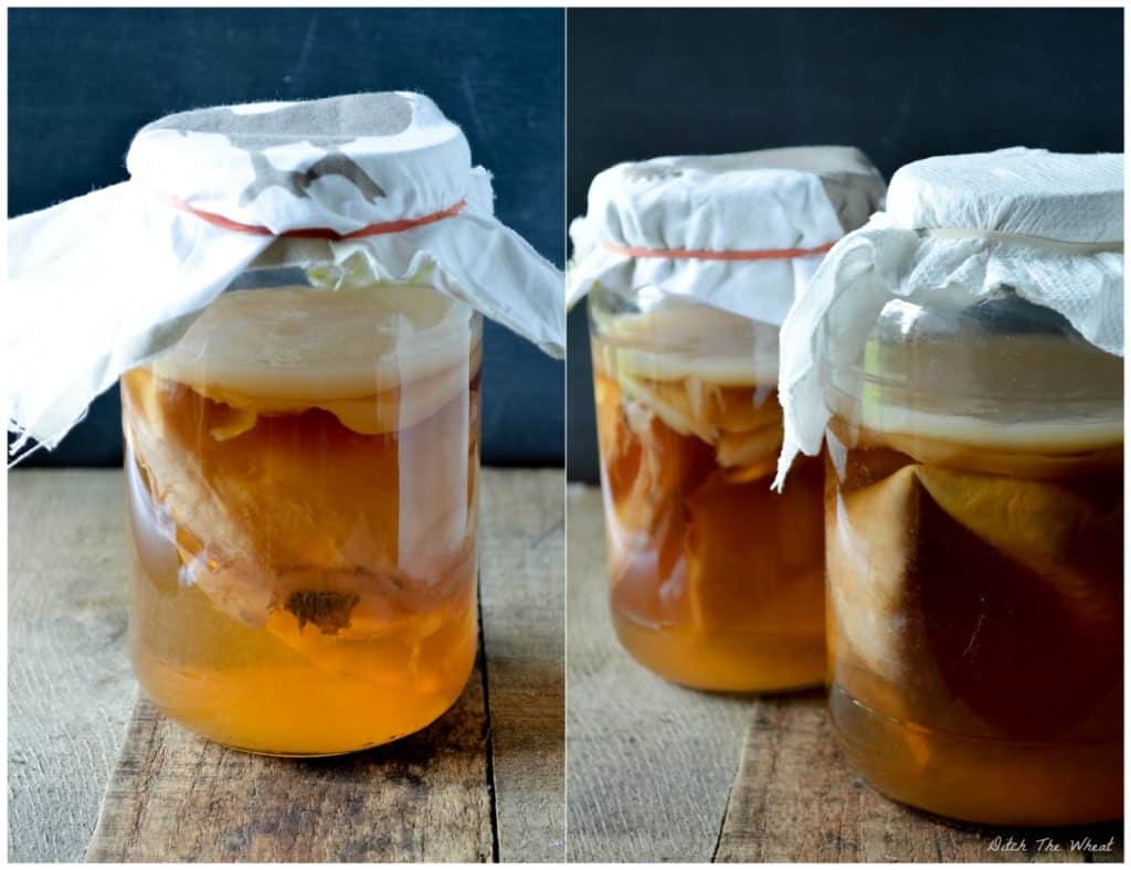 Baby Scoby Kombucha