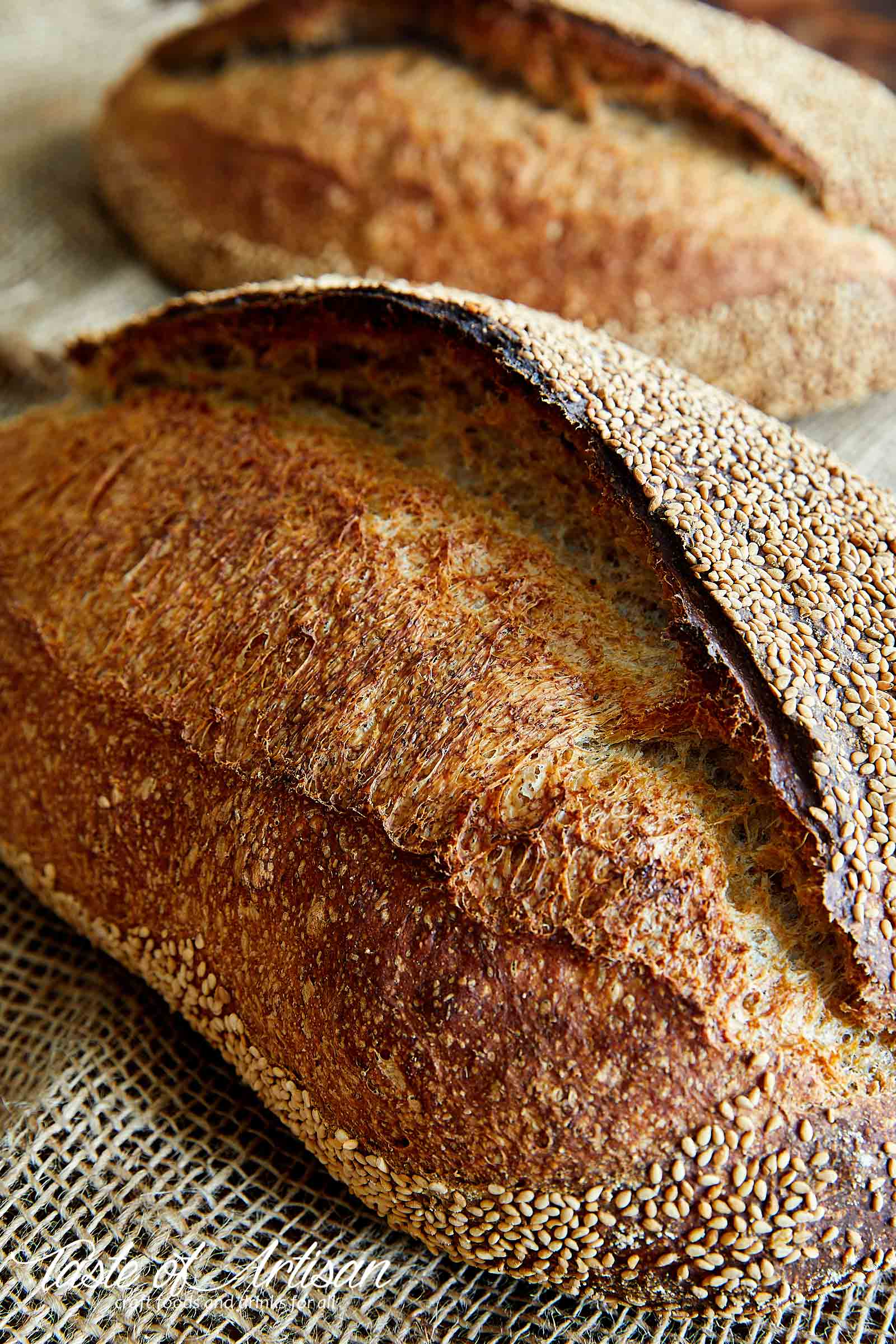 Beginner Artisan Sourdough Bread Recipe Artisan Bread Recipes Sourdough Bread Recipe Artisan