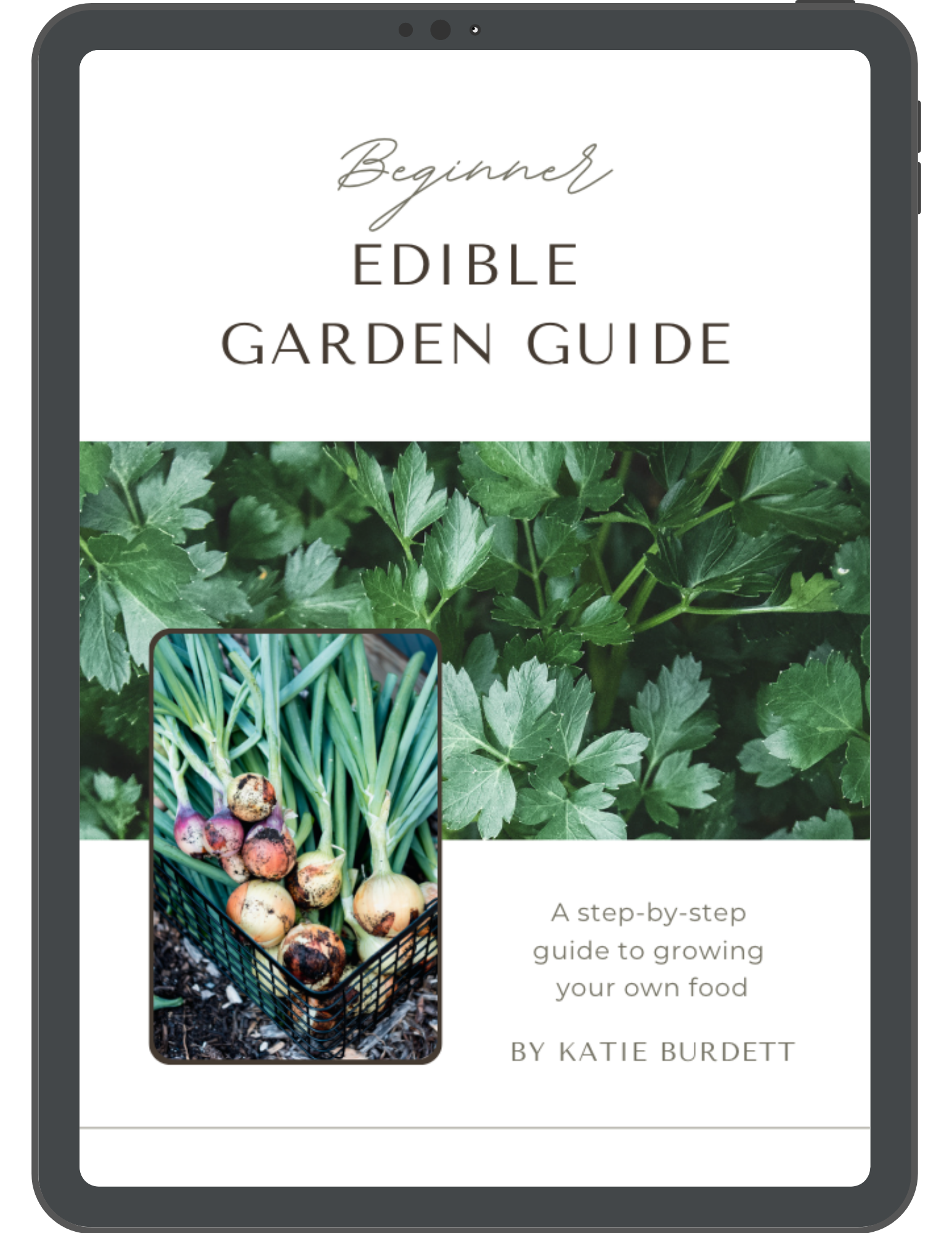 Beginner Edible Garden Guide Growing With Gertie