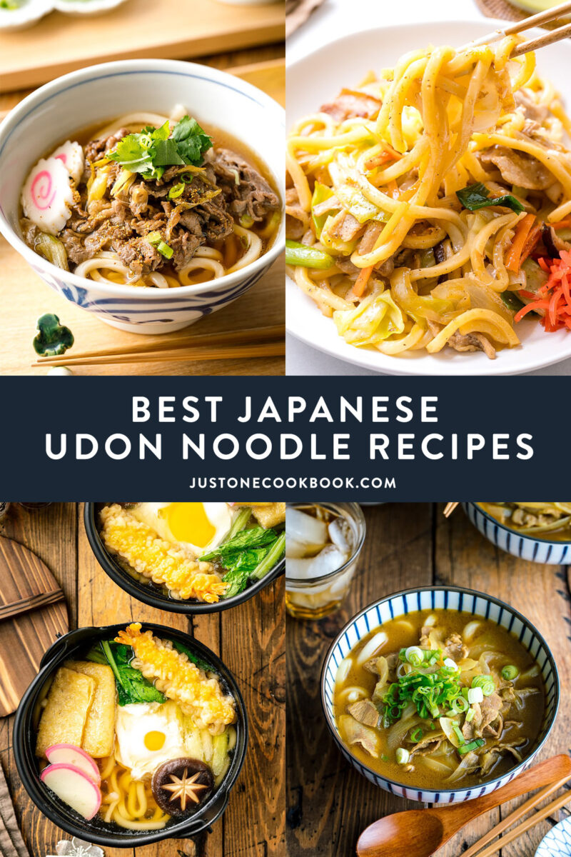 Best Authentic Japanese Udon Noodle Recipes Just One Cookbook