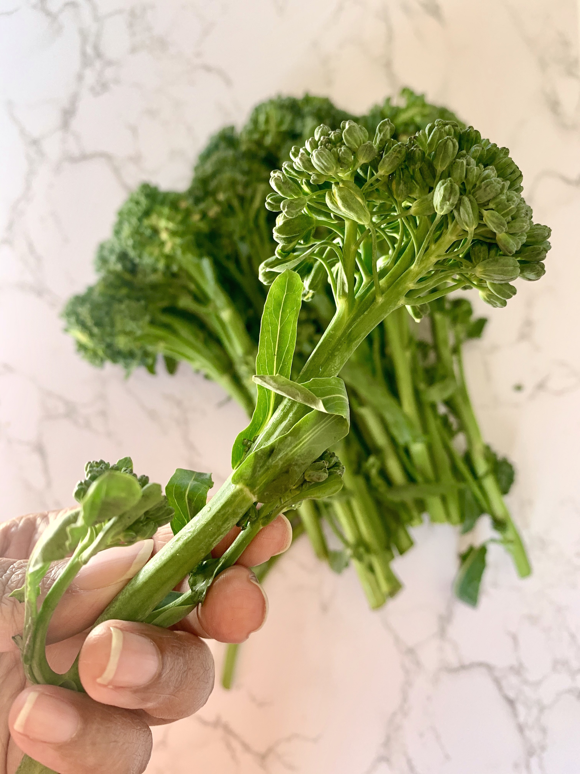 Best Broccolini Recipe Simple Delicious Guide 2023