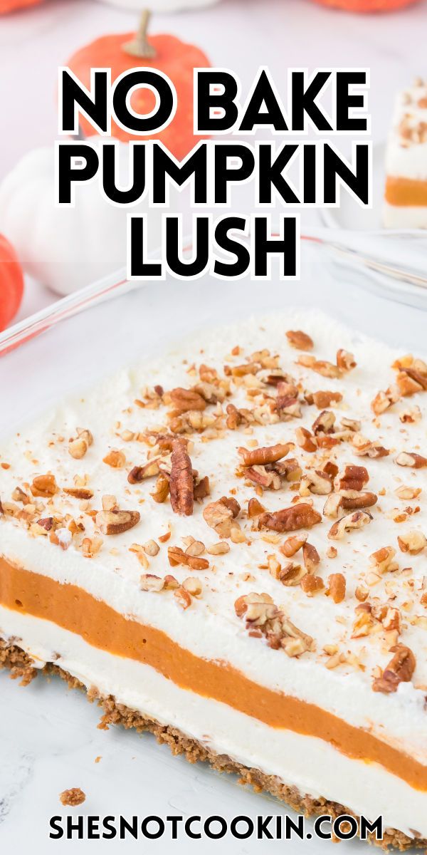 Best Pumpkin Delight Recipe Easy No Bake Dessert She S Not Cookin