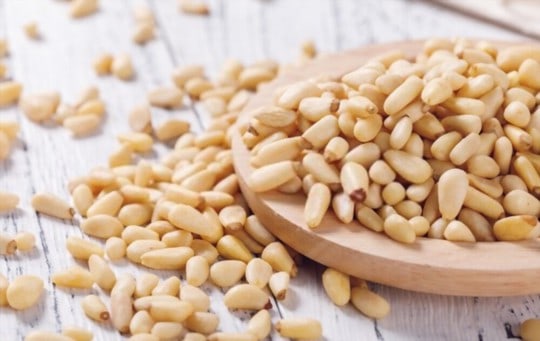 Best Substitutes For Pine Nuts Bits And Bites