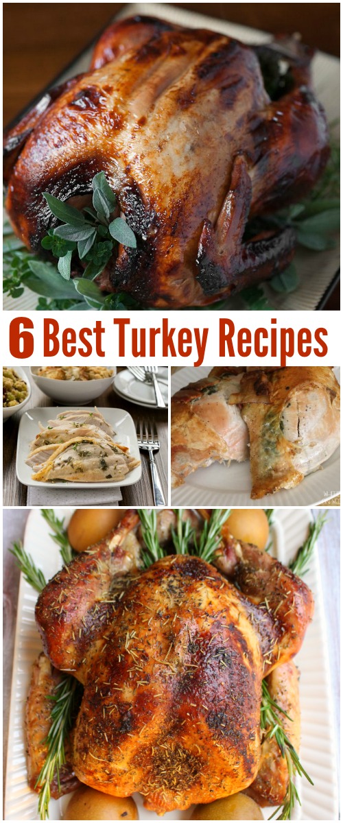 Best Turkey Recipes