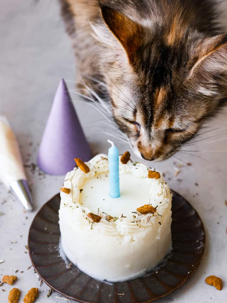 5 Tips for Perfect Birthday Cake Recipe