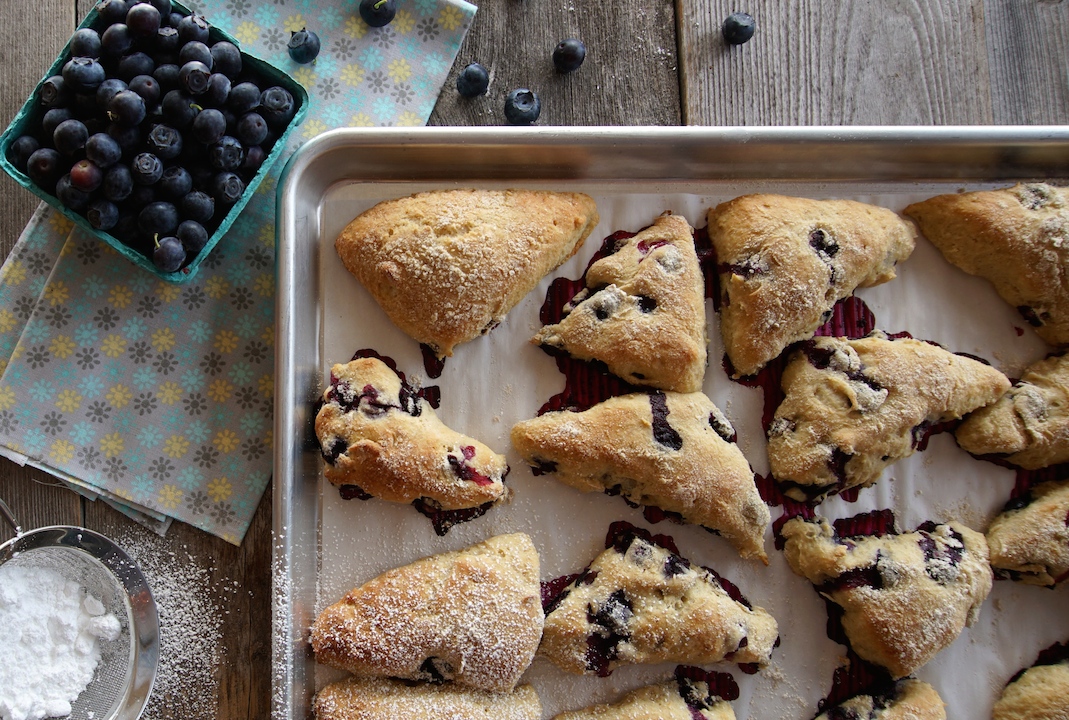 Blueberry Scone Recipe Weekend At The Cottage Recipe Blueberry Scones Recipe Scone Recipe