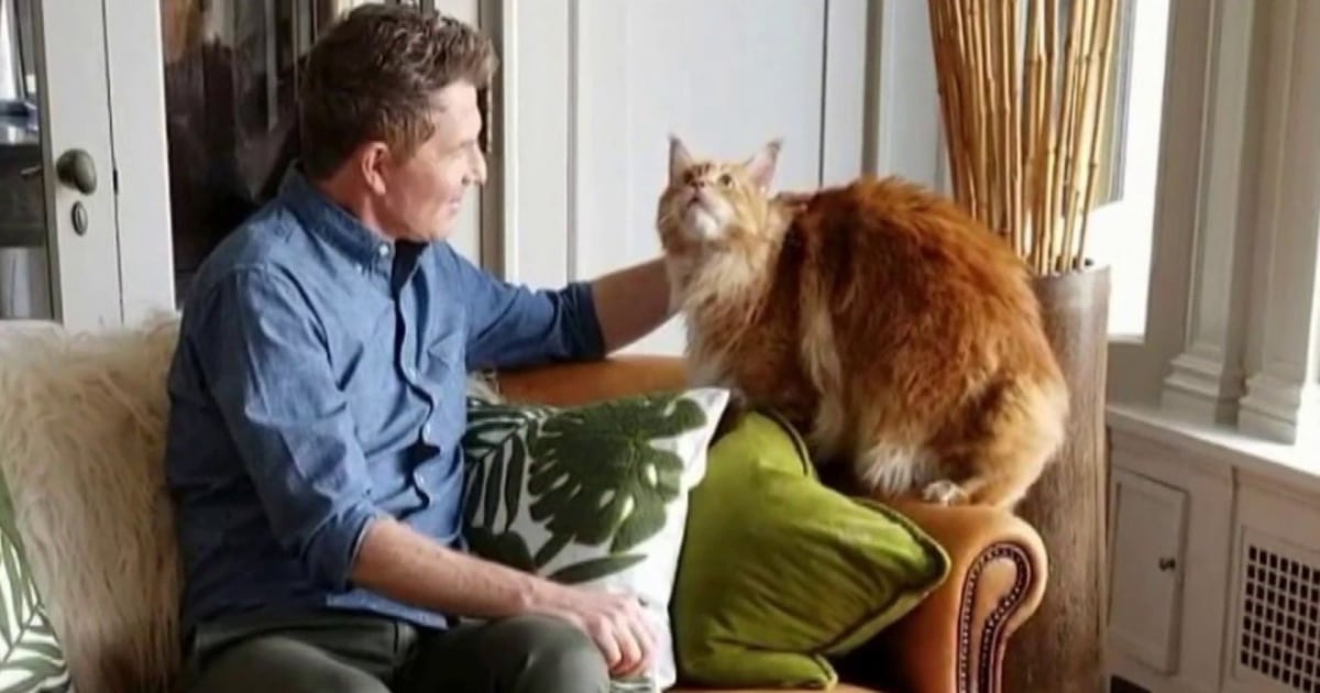 Bobby Flay S Cat Nacho Dies Look Back At Memorable Moments