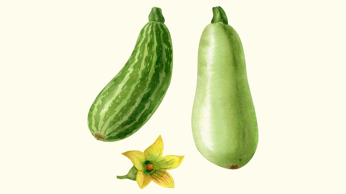 Bottle Gourd Peel Health Benefits In Hindi