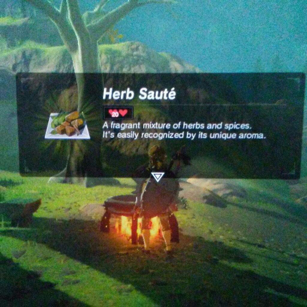 Botw Bird Recipes Wiki Zelda Amino