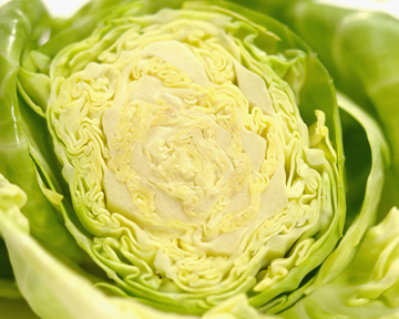 Braised Green Cabbage