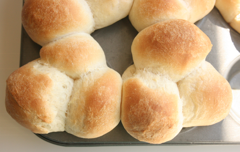 Bread Machine Buttermilk Rolls Chella S Common Cents