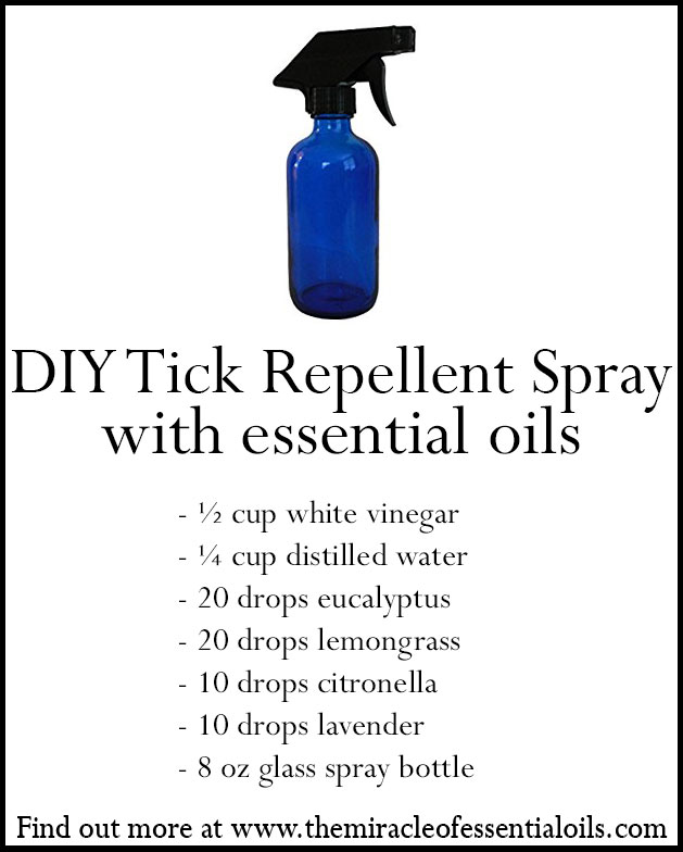 5 Natural Flea and Tick DIY Recipes with Oils