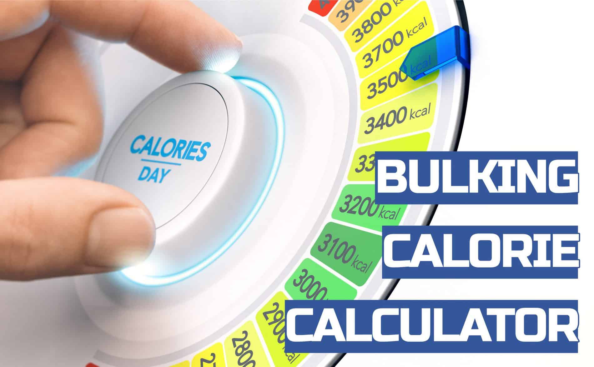 Calorie Calculator Bulking